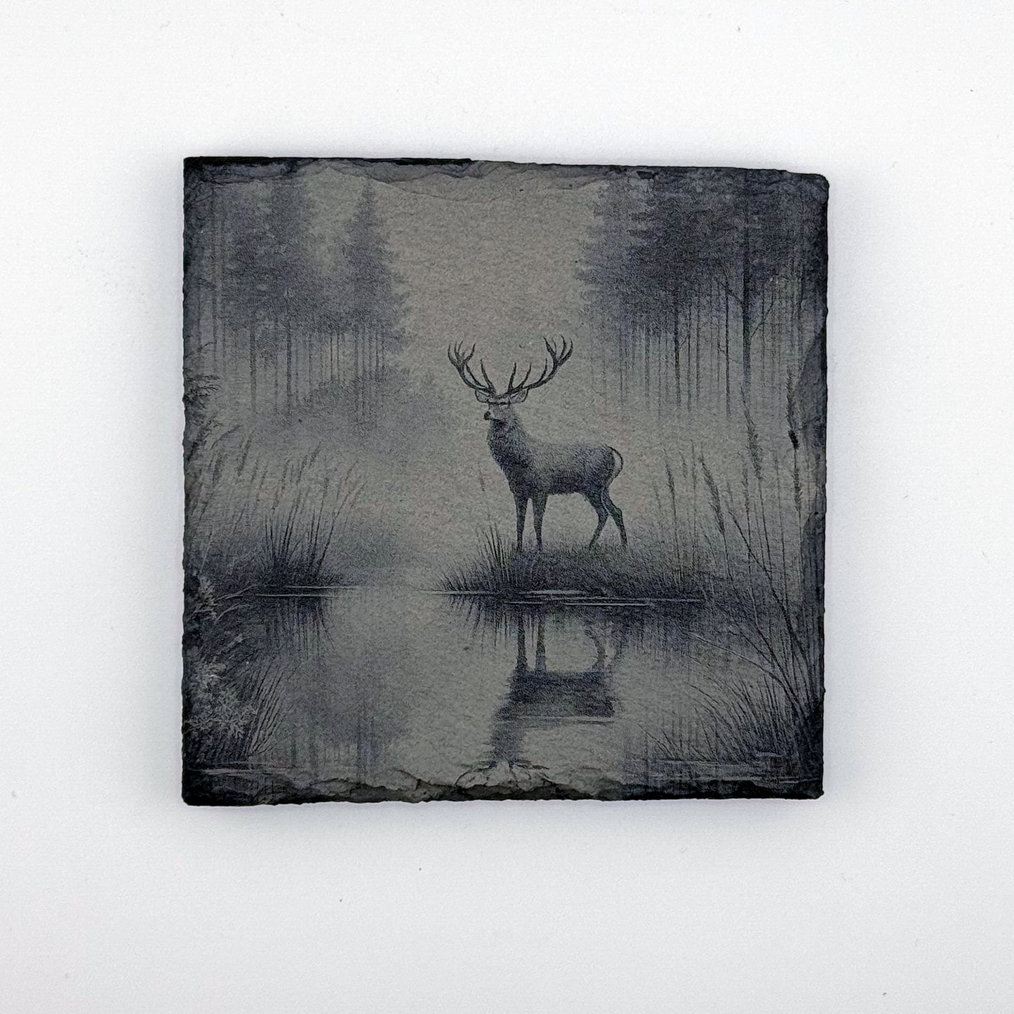 Buck Reflection Slate Coaster